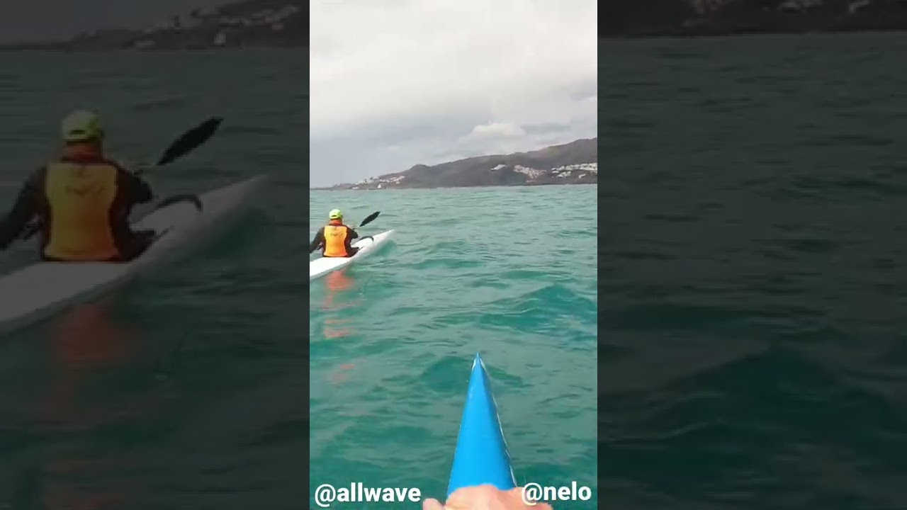 Allwave OC1 Fluctus & nelo 540