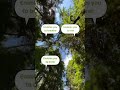 Plant Goodness With Mamaearth