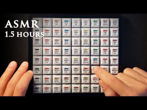 ASMR Mechanical Keyboard Switch Tester | 1.5 hrs Soft Spoken