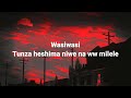 Rayvanny - wasi  wasi (official audio ) lyric
