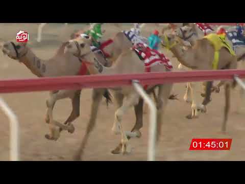  ش 5 (الشاهينيه) لـ حمدان سالم بن نهيان العامري 3:15 ، شارة الصندوق 2026/08/28 فطامين الجبيب