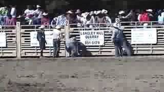 preview picture of video '2008 WOODSIDE RODEO BULL RIDING'