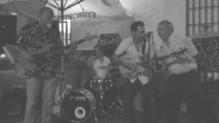 Shake your moneymaker (Elmore James cover by Walking Blues + guest)