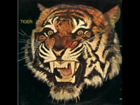 Thumbnail for Tiger-Long Time- Big Jim Sullivan by R.E.M., L.A.B., Ritchie Blackmore