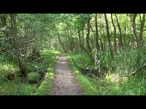 MongoTV_562 - Del 3 - God Fredag Og Weekend - 8 Km Gåtur - 28.Aug 2015