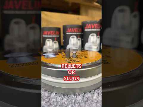 Pellets vs Slugs:  Which Is Best? Part 1 #slugsvspellets #airguns #airgunslugs #theairgunpodcast
