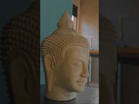 Experiência na Casa Filha através do olhar dos hóspedes.