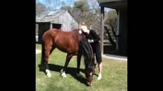 Carly Simon - Sings to her horse