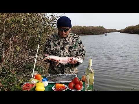 Рыбалка Казахстан (готовим щуку)