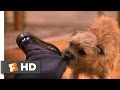There's Something About Mary (3/5) Movie CLIP - Dog Fight (1998) HD