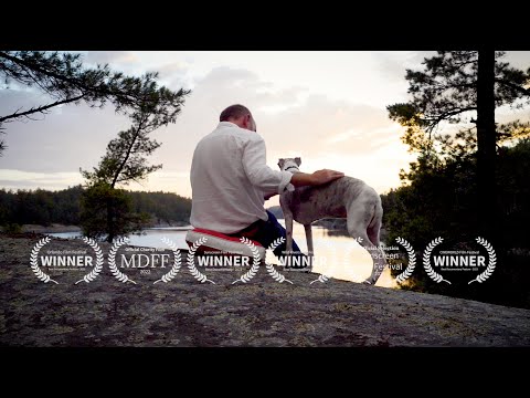 Abby’s List: A Dogumentary