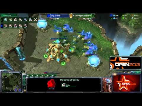 DH Open Summer 2013 - Tefel vs PandaTank Game 2
