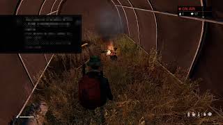 Dayz配信