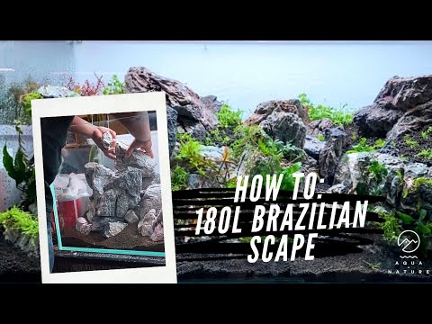How to set up - Step-by-step 90cm (180L) Brazilian Style Aquascape Setup for Customer
