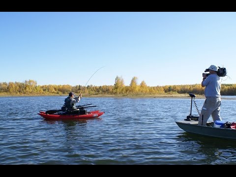 Trout Fishing - Boatman & Backswimmer Tactics | Alberta