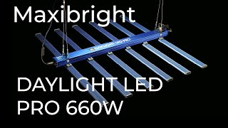 DAYLIGHT PRO 660W BY Maxibright