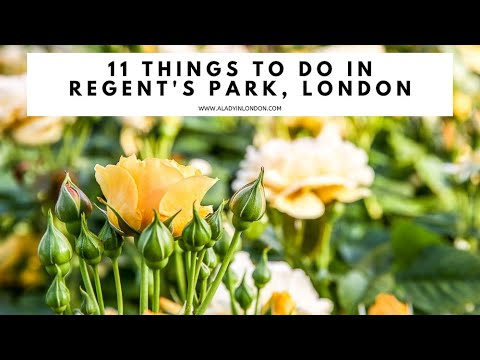 REGENT'S PARK, LONDON | Rose Garden | Boating Lake | Regent's Canal | Regent's Park Inner Circle