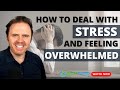 How to Deal with Stress and Feeling Overwhelmed - Functional Medicine Approach | Podcast #380