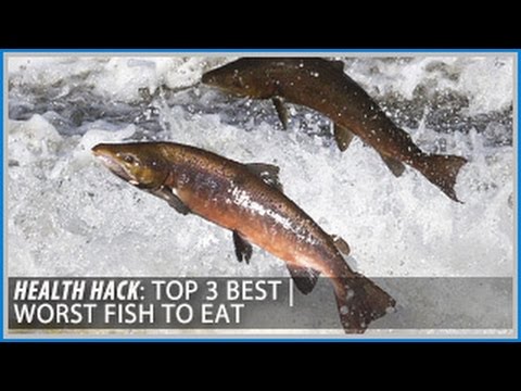 , title : 'Top 3 Best | Worst Fish to Eat: Health Hacks- Thomas DeLauer'
