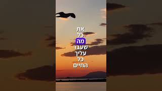 הרב שלום סבג - שיעורי וידאו - הרב שלום סבג – במקום שהפה שלך ידבר הלב שלך יתחיל לדבר ✨