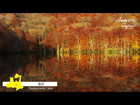 青森 秋の魅力 Aomori Japan