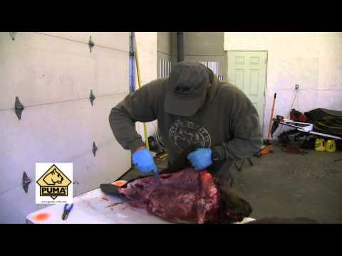 Puma SGB Trophy Care Knife Set Review Outdoor Quest TV