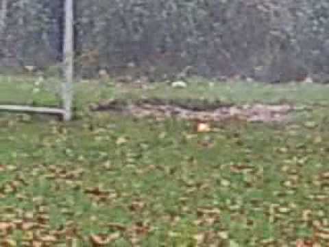 dieptebom 2 in sprundel