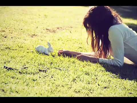 Nixon vener ola '' uścisk w sercu ''.flv