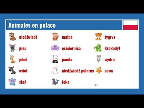 Animales en polaco