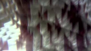 Doldrums - closer 2 u