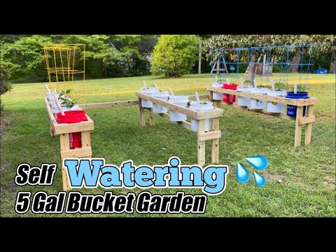 Wicking Bucket  Containers- Garden for patios on a budget.