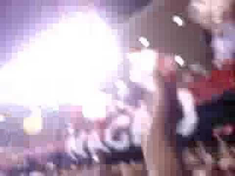 Flamengo Bicampeão Estadual 2008