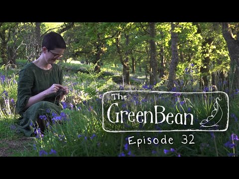 The Green Bean Podcast Episode 32