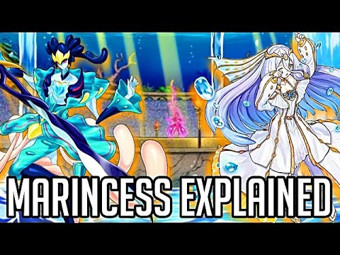 Marincess Explained in 33 Minutes [Yu-Gi-Oh! Archetype Analysis]