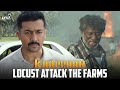 Locust Attack The Farms Kaapaan Movie Scenes Suriya Mohanlal Sayyeshaa Arya Lyca