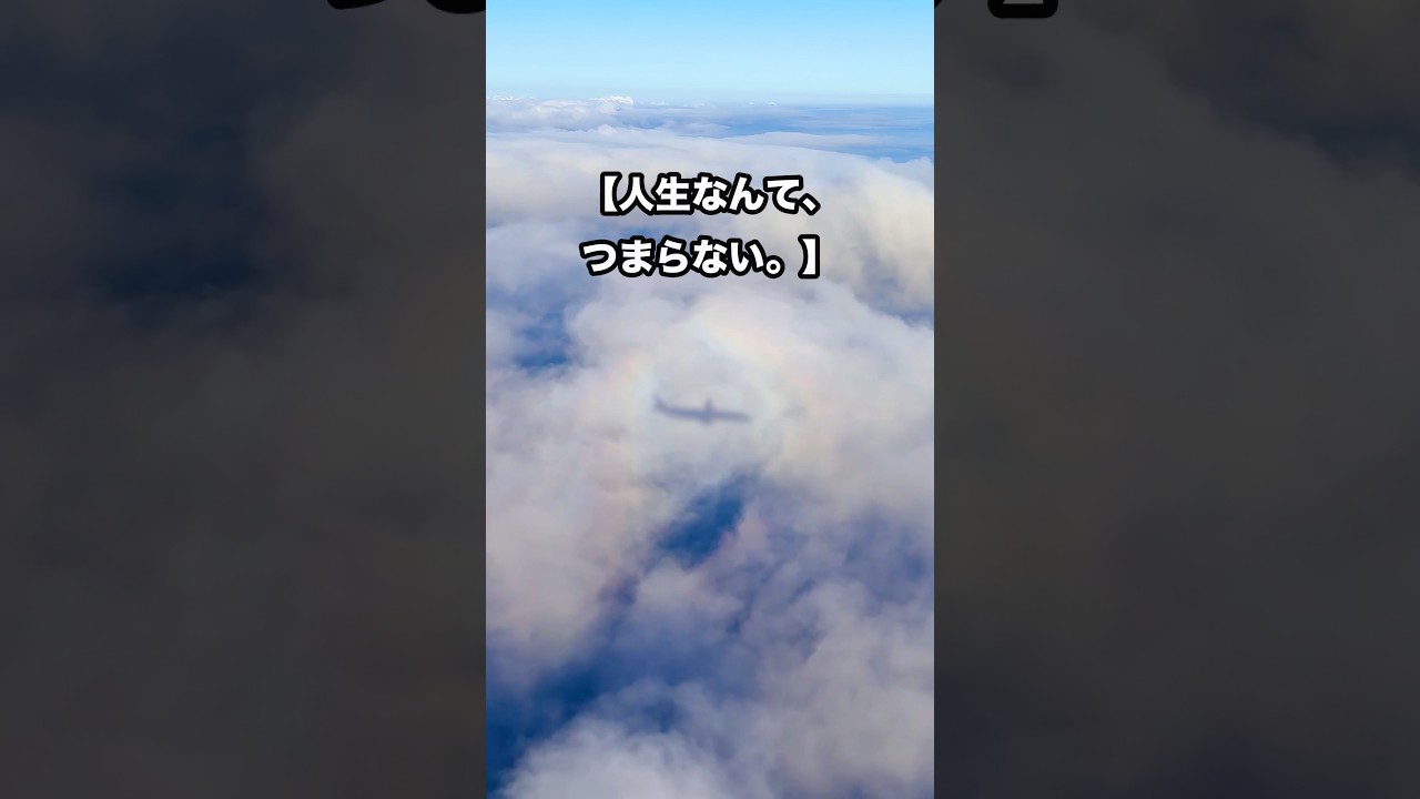 人生なんてつまらない。ほとんどの努力はむくわれないし人間関係の悩みもずっと無くならない。。運さえ良ければ、不思議とすべてがうまく行きます‼️