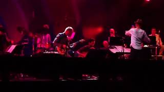 Nels Cline: LOVERS at Prospect Park : Mancini Theme , August 5 , 2017