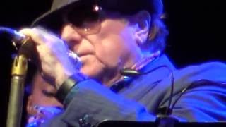 Lời Dịch Bài Hát Someone Like You Van Morrison