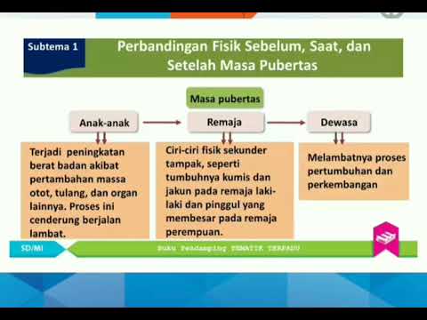 IPA KL 6 Tema 7 St 1 perbandingan Fisik sebelum,saat ,dan sesudah masa pubertas