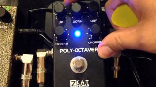 Video thumbnail for Zcat polyoctaver by All Things Weatherly