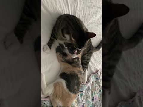 21 de diciembre de 2020