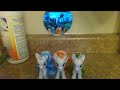 Ponies Watch The Small Railway Engines Part 3 Final Useful Railway