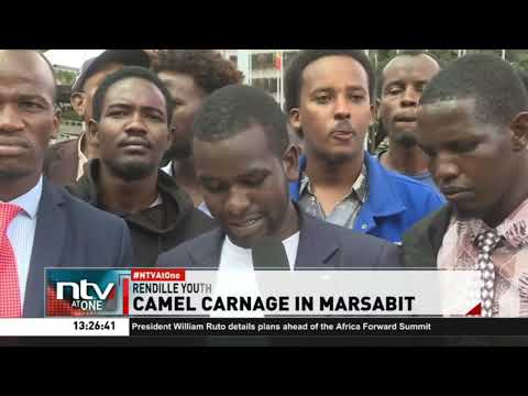 Rendille youth condemn mass slaughter of camels by suspected bandits in Marsabit