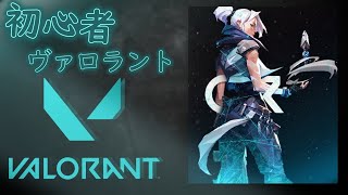 VALORANT配信　※アドバイス求む！！　概要欄をチェック