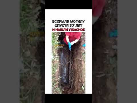 Вскрыли могилу спустя 77 лет