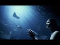 SeaWorld Commercial Proud Sponsored Of Sesame Street ReUpload