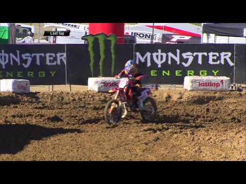 Vialle stopped - MX2 Race 2 - MXGP of Spain 2020