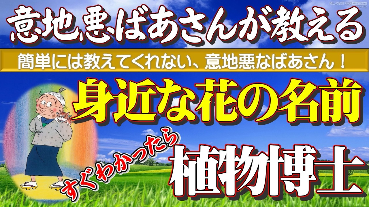 【意地悪ばあさんが教える身近な花の名前】すぐ分かったら「植物博士」！2026年版