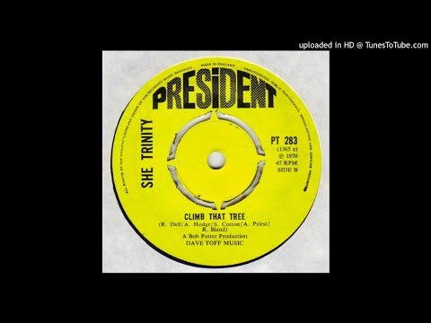 She Trinity - Climb That Tree