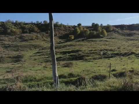 Pe drum - Copand-Captalan (Alba)